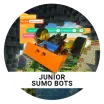 robot with orange bumper bar in front of code and minecraft background in a circle 