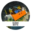 robot with orange bumper bar in front a minecraft background in a circle 