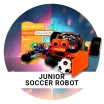 junior_soccer_robot badge